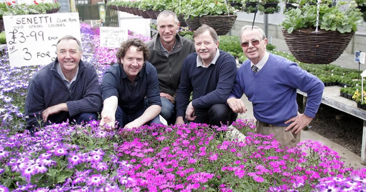 Garden centre staff top tips Giants Seat Garden Centre share their